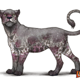 lioden wardrobe78 ezgif.com effects.png