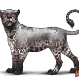 lioden wardrobe79 ezgif.com effects.png