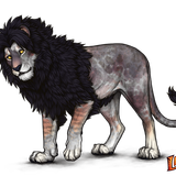 lioden wardrobe69 ezgif.com effects.png