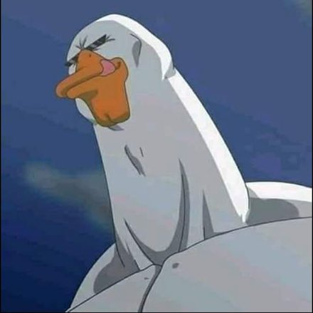1000260367.jpg