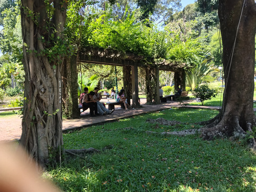 IMG 20251019 102920.jpg