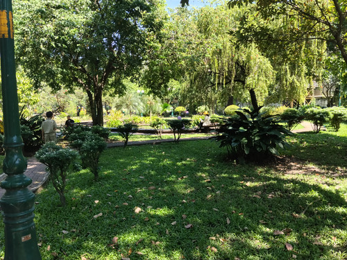 IMG 20251019 102836.jpg