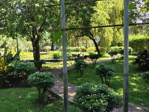 IMG 20251019 102825.jpg