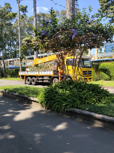 IMG 20251019 103157.jpg