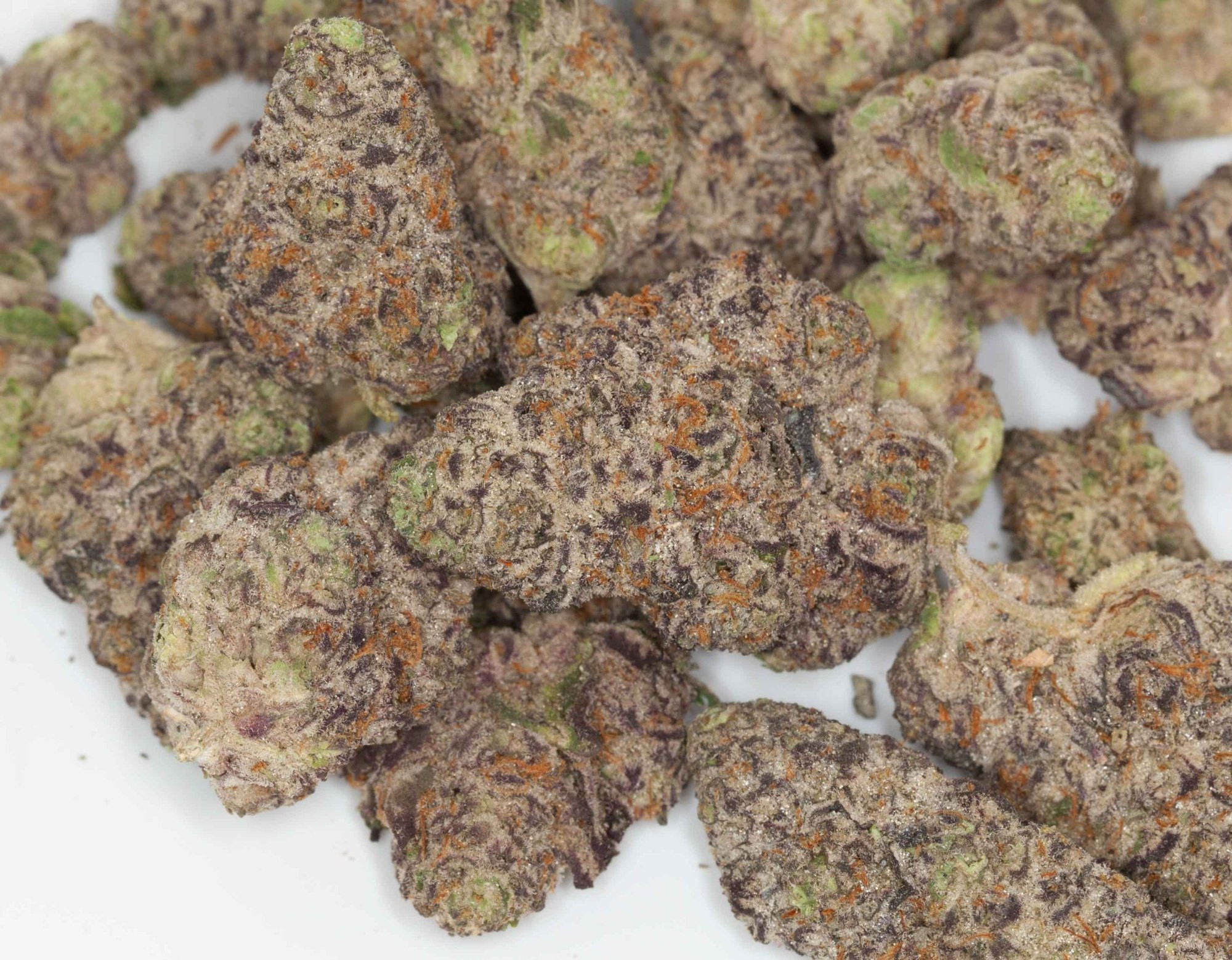 1 Discounted P - Lemon Runtz