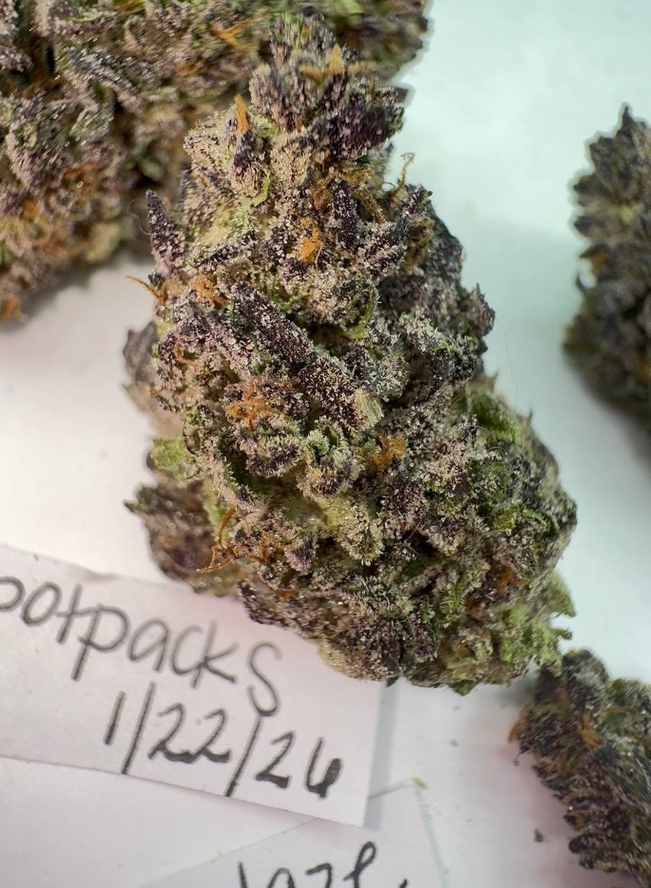 Purple Haze - LIGHT DEP TIER