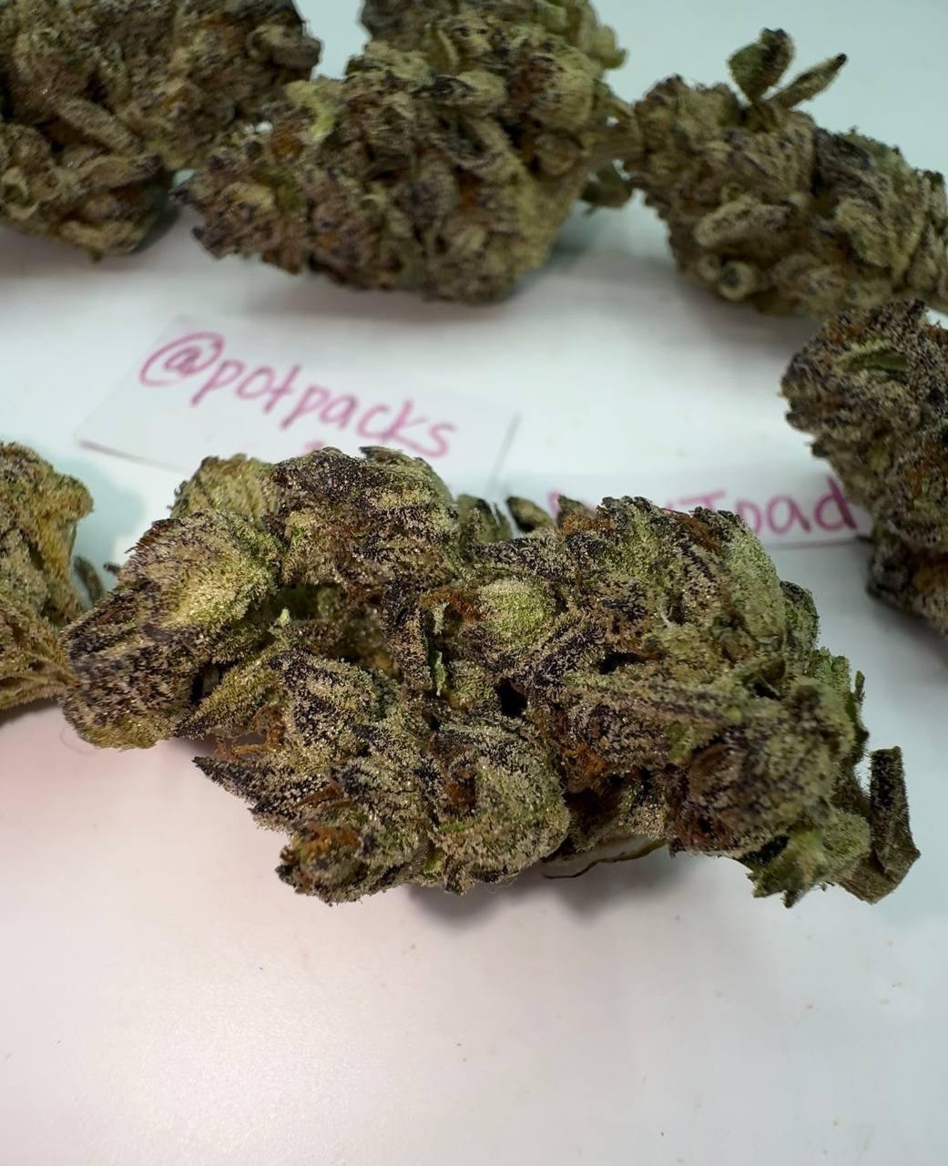 Sour Toad - LIGHT DEP TIER