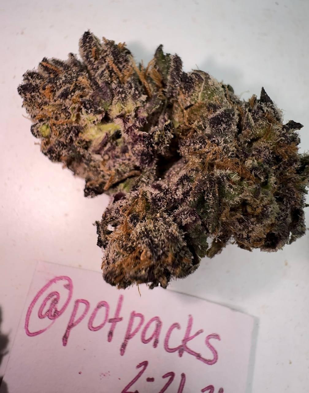 Black Widow - INDOOR TIER