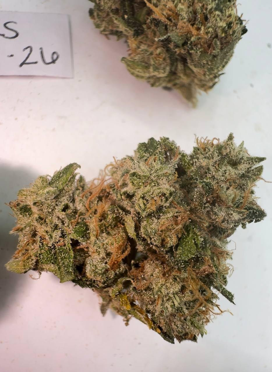 Cherry Punch - INDOOR TIER