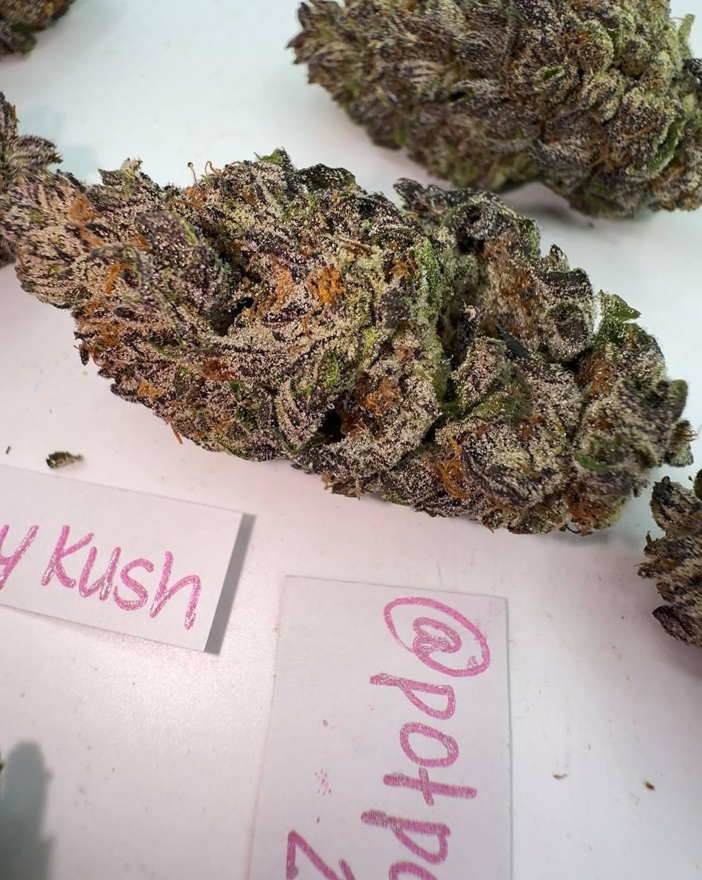 Black Berry Kush - LIGHT DEP TIER