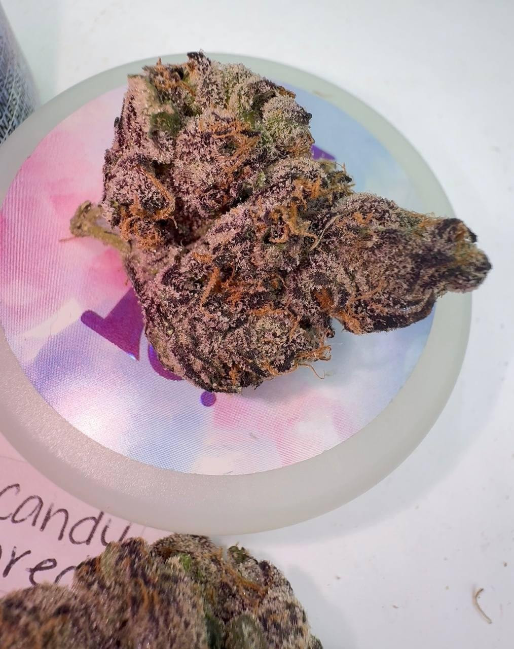 Fanta Runtz - INDOOR TIER