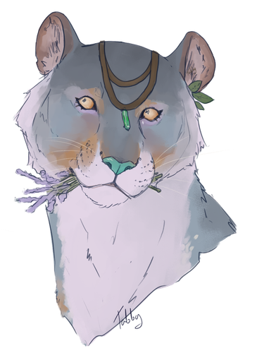 IMG 0382.png