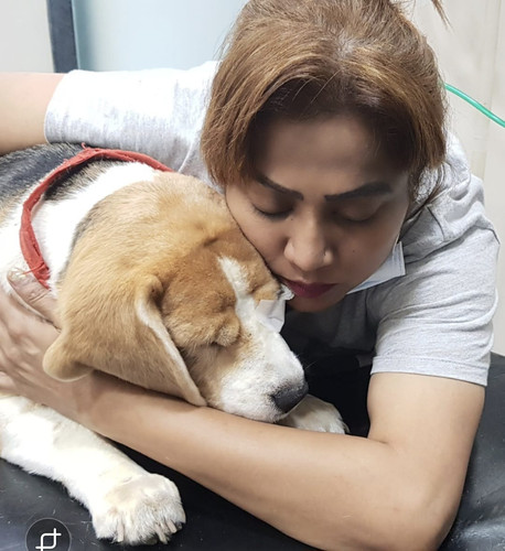 WhatsApp Image 2026 03 08 at 20.27.48.jpg