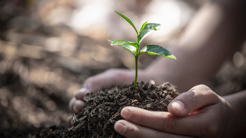 combat climate change hero 940x529.jpg