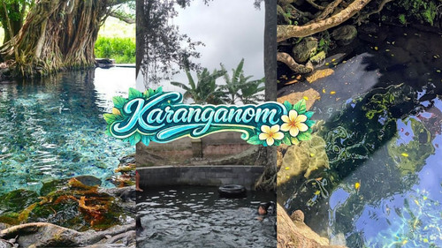 dududu at 11.22.32 AM.jpg