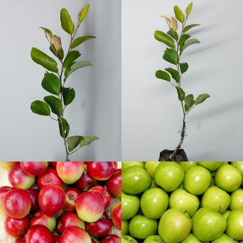 6162B YMNxL. SL1280 .jpg