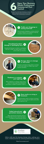 6 Signs Your Business Needs Professional Commercial Pest Control.jpg