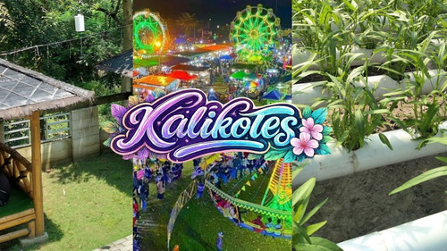 WhatsApp at 11.22.32 AM.jpg