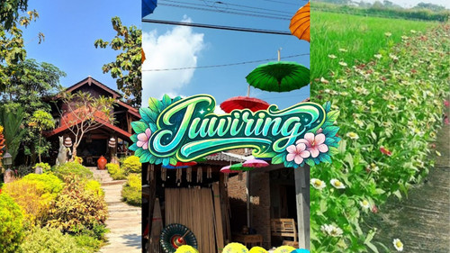 WhatsApp Image 2026 03 09 at 11.22.32 AM.jpg