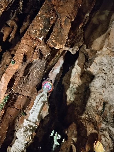 IMG 20251016 122524.jpg