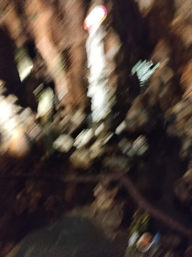 IMG 20251016 122408.jpg