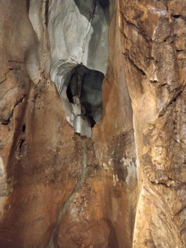 IMG 20251016 120638.jpg