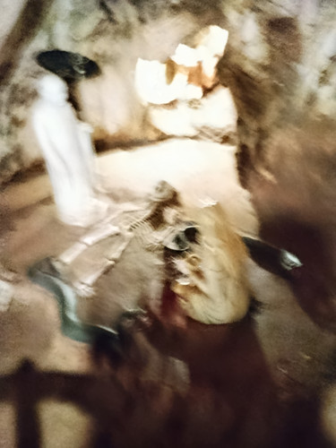 IMG 20251016 121450.jpg