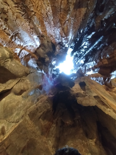 IMG 20251016 120623.jpg