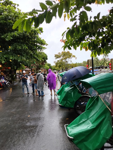 IMG 20251016 144502.jpg