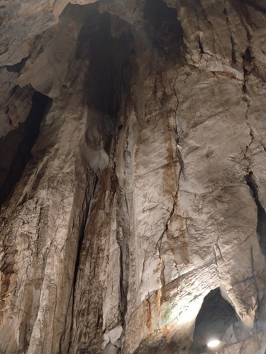 IMG 20251016 121903.jpg