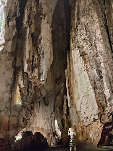 IMG 20251016 121910.jpg