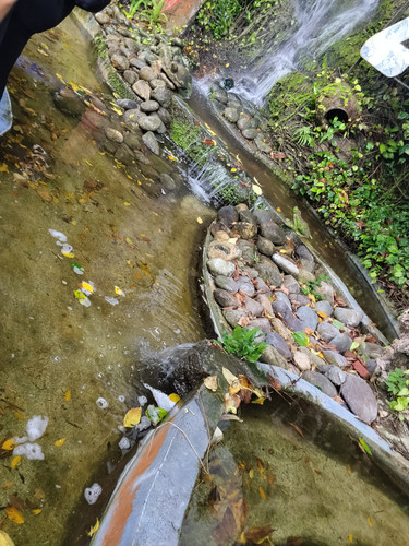 IMG 20251016 123149.jpg