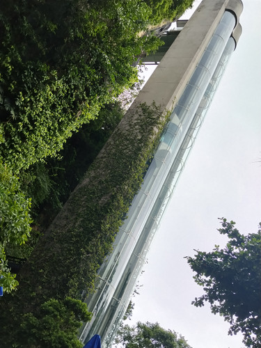 IMG 20251016 123030.jpg