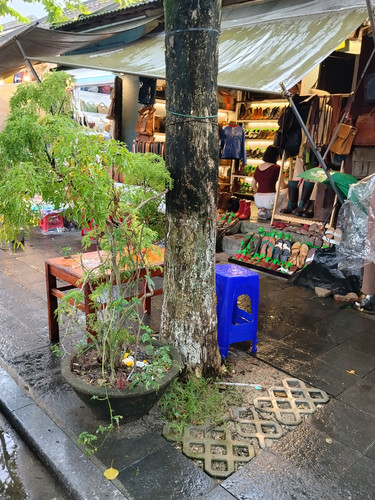 IMG 20251016 132825.jpg