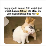 Screenshot 1.png