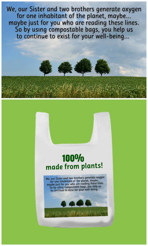 100 made from plants.jpg