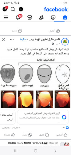 Screenshot ٢٠٢٥٠٦١٥ ٠٤٥٤٥١ Facebook.jpg