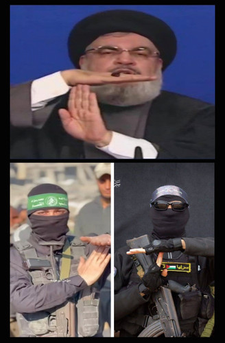 1000043277.jpg