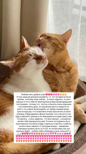 IMG 20260309 084149 600.webp