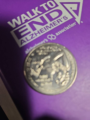 c97de7c6edc3.jpg