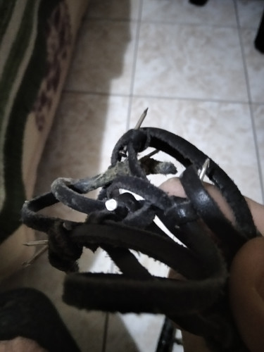 IMG 20221215 133147.jpg
