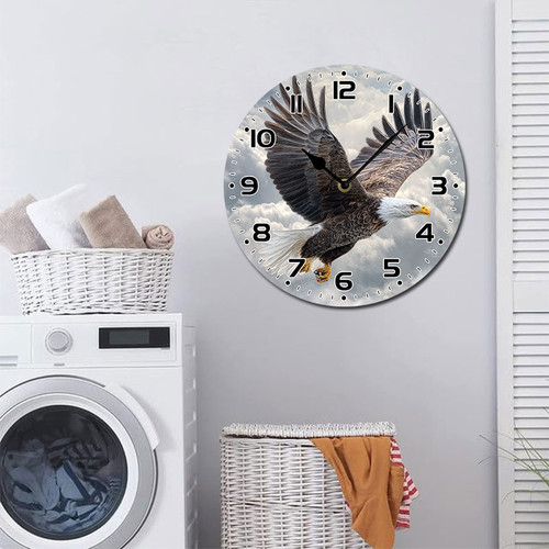 eagle clouds sky 001 07.jpg