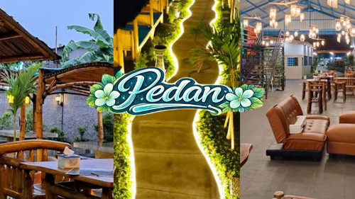 pedan 2026 03 09 at 11.22.37 AM.jpg