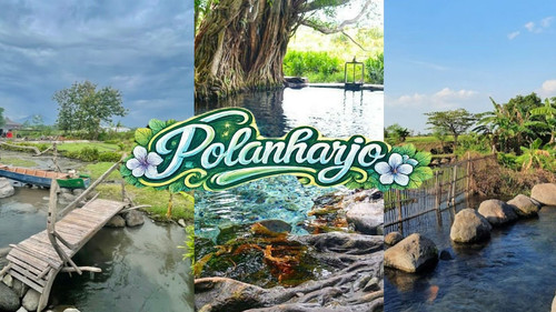 polanharjo 2026 03 09 at 11.22.37 AM.jpg