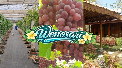 Wonosari 2026 03 09 at 11.22.40 AM.jpg