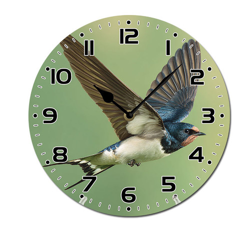 flying birds animal 001 01.jpg