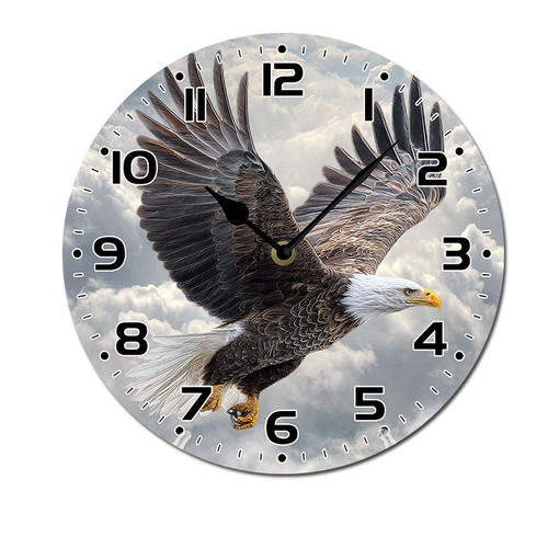 eagle clouds sky 001 01.jpg