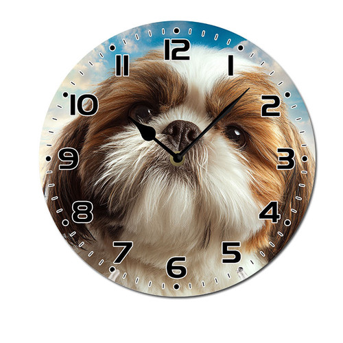 funny animal dog 001 01.jpg