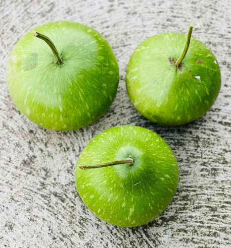 round bottle gourd.jpg
