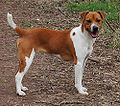 63a200d039c8.jpg